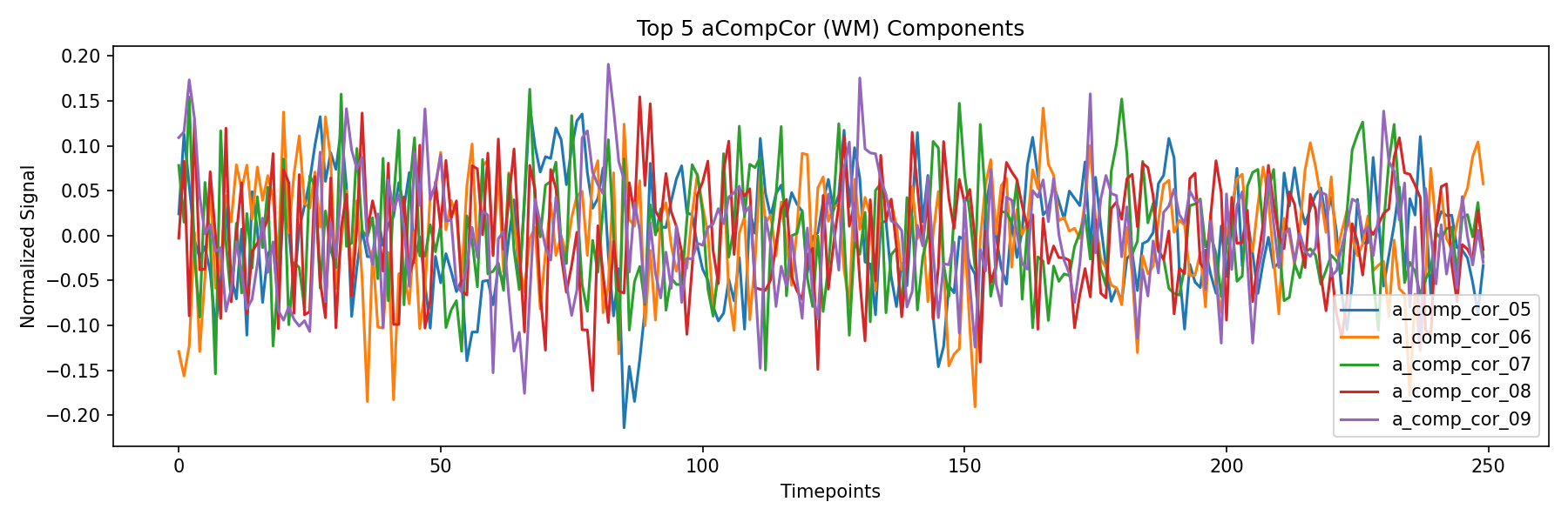 compcor_wm.png
