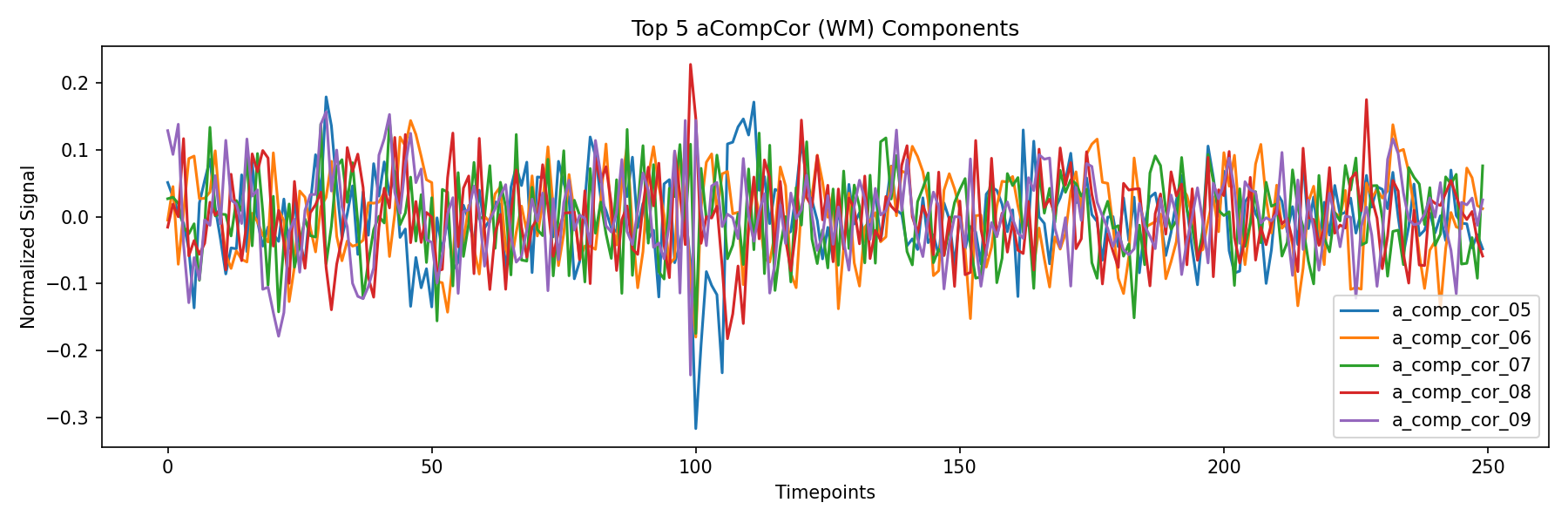 compcor_wm.png