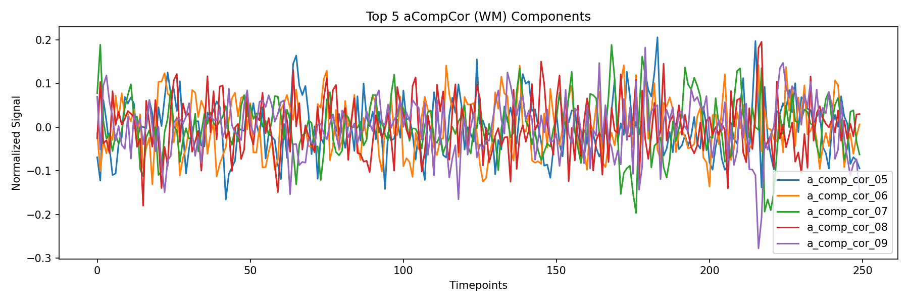 compcor_wm.png