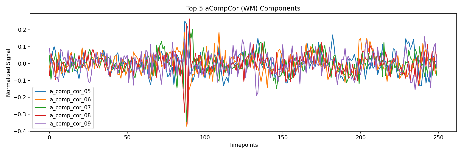 compcor_wm.png