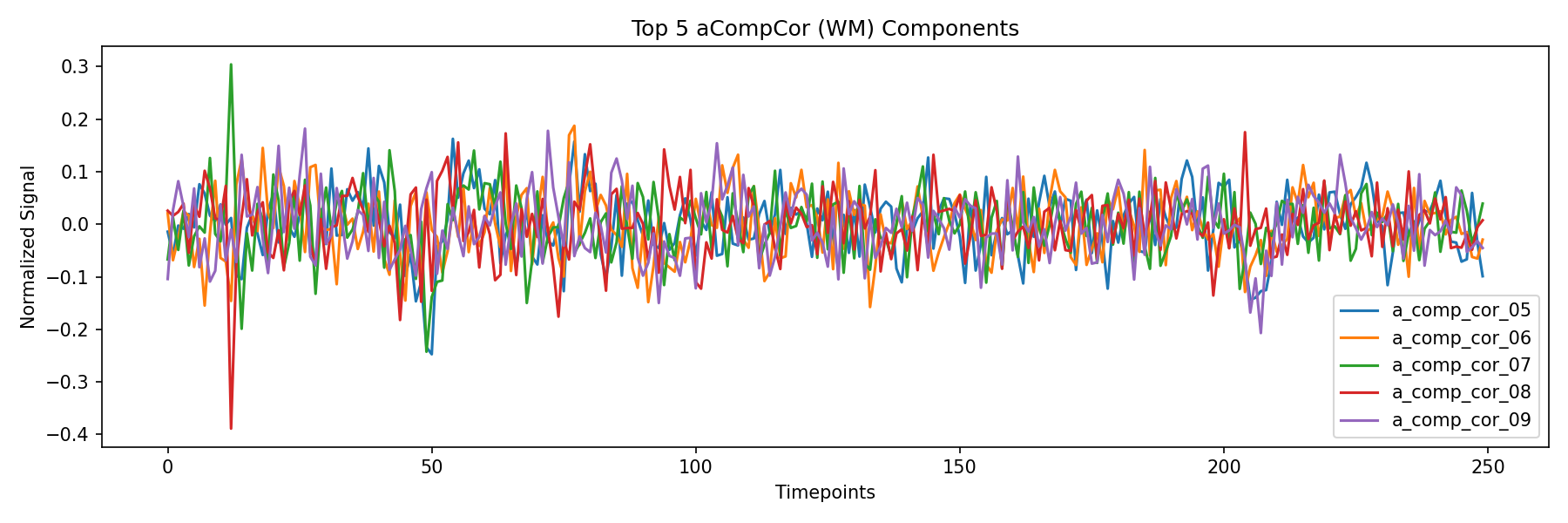 compcor_wm.png
