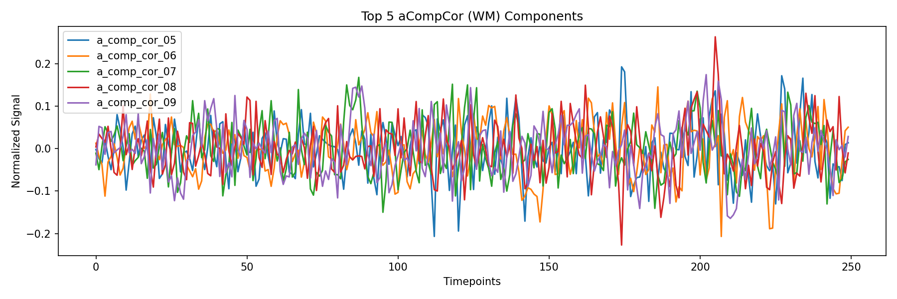 compcor_wm.png