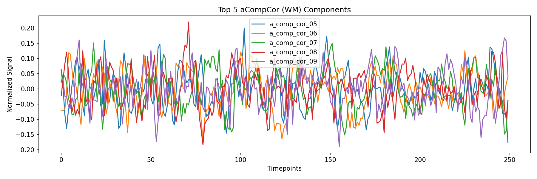 compcor_wm.png