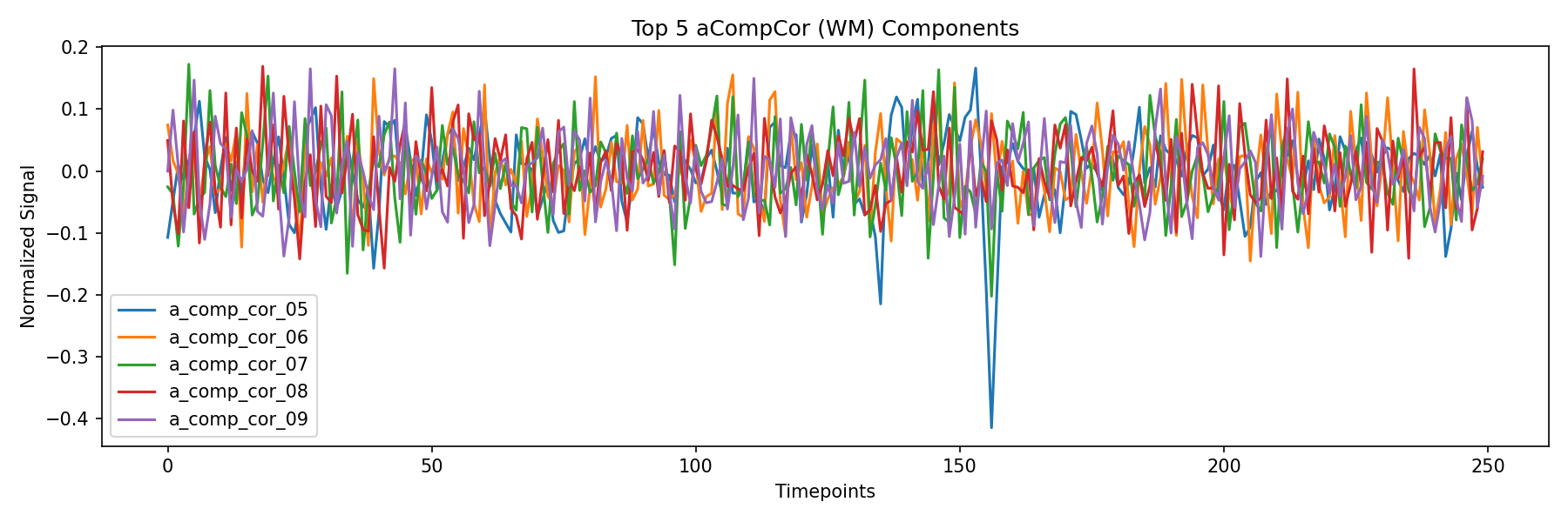 compcor_wm.png