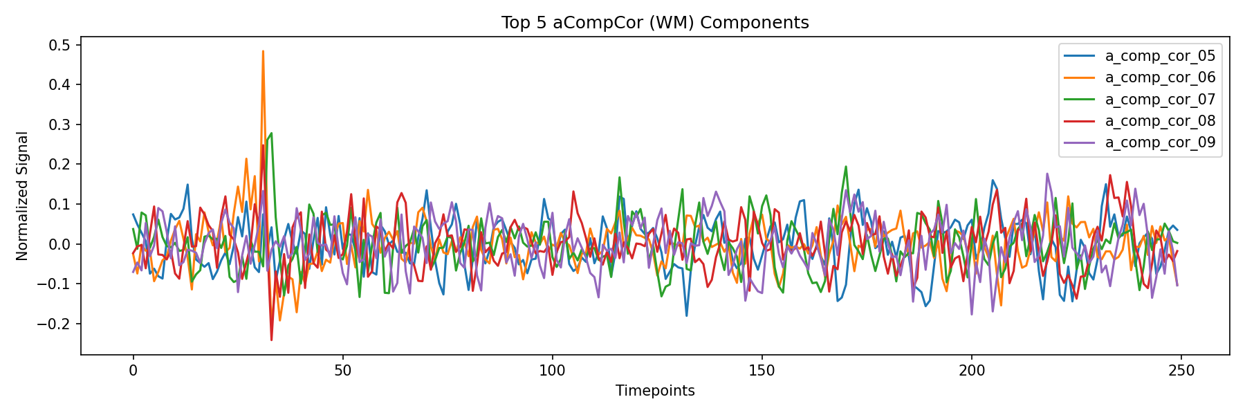 compcor_wm.png