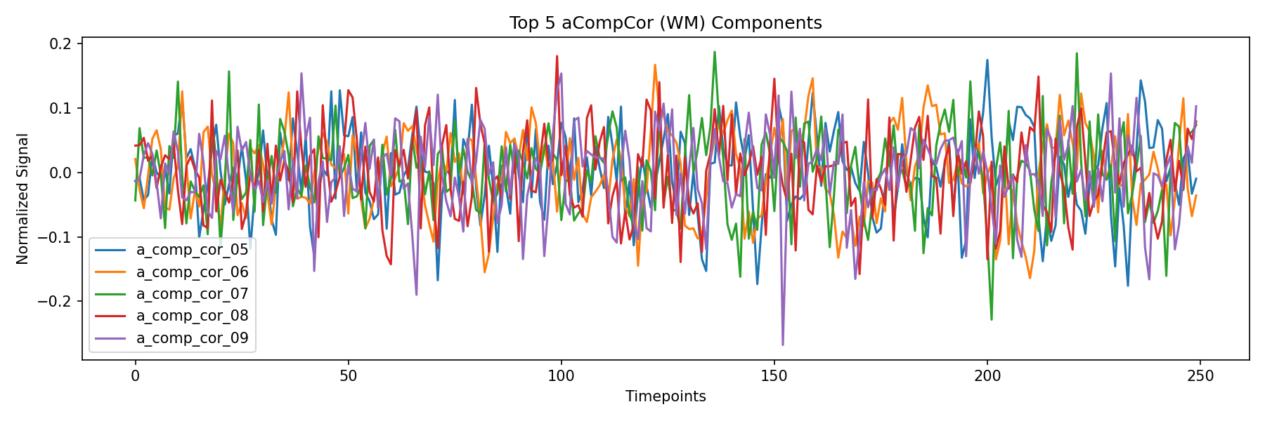 compcor_wm.png