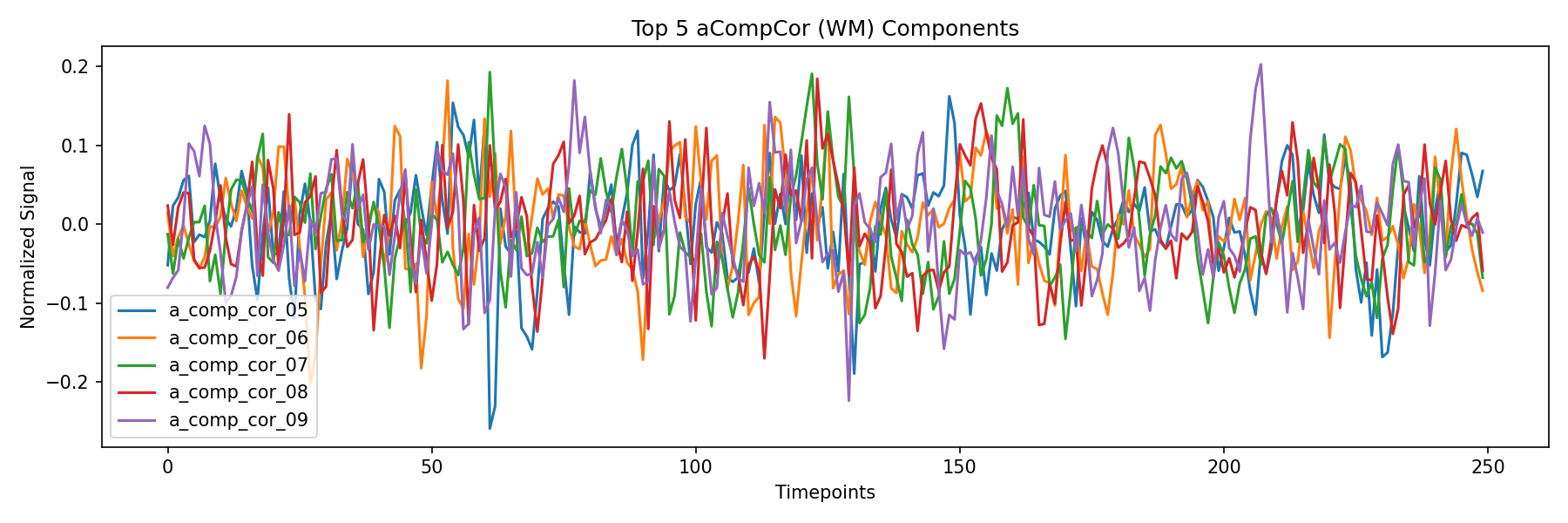 compcor_wm.png