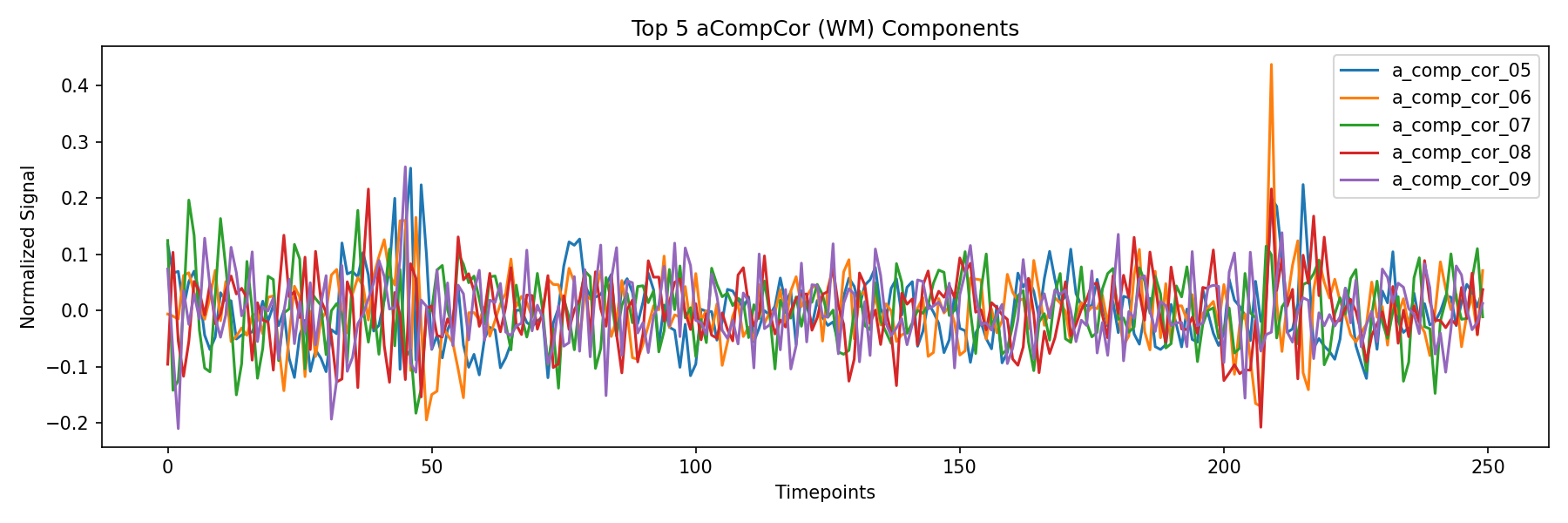 compcor_wm.png