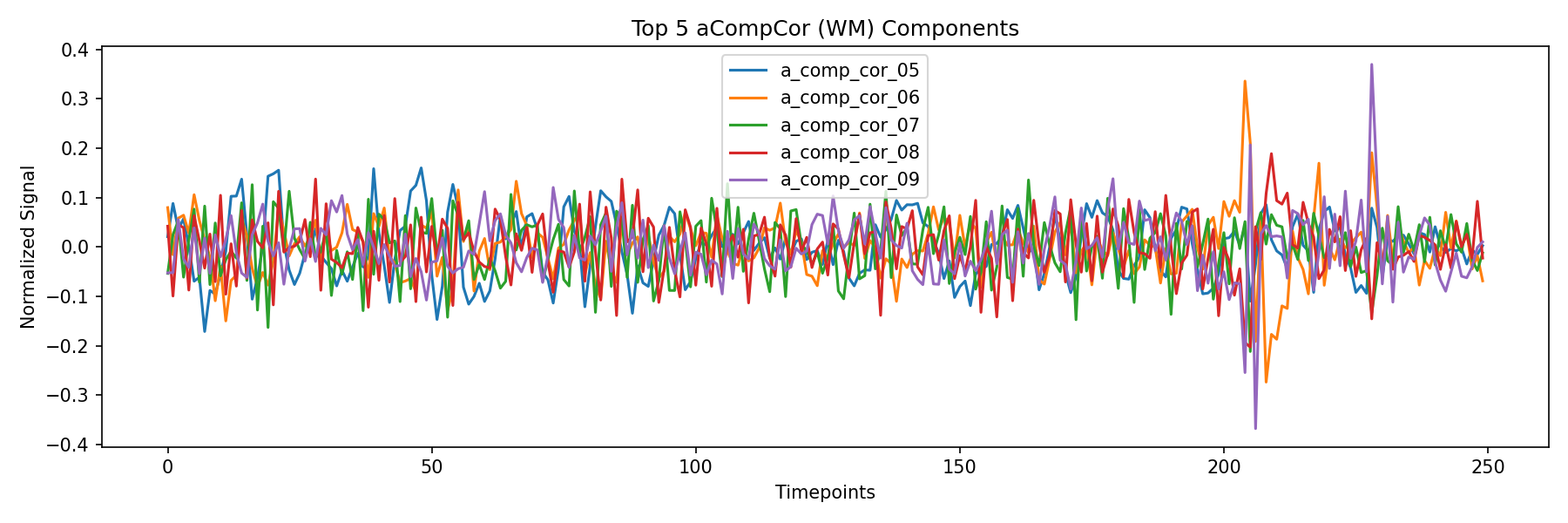 compcor_wm.png
