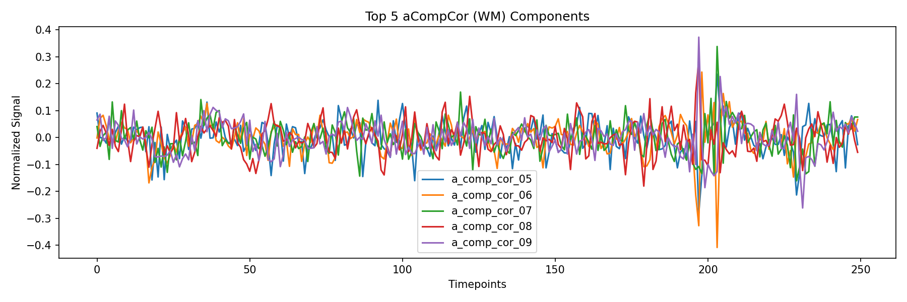 compcor_wm.png