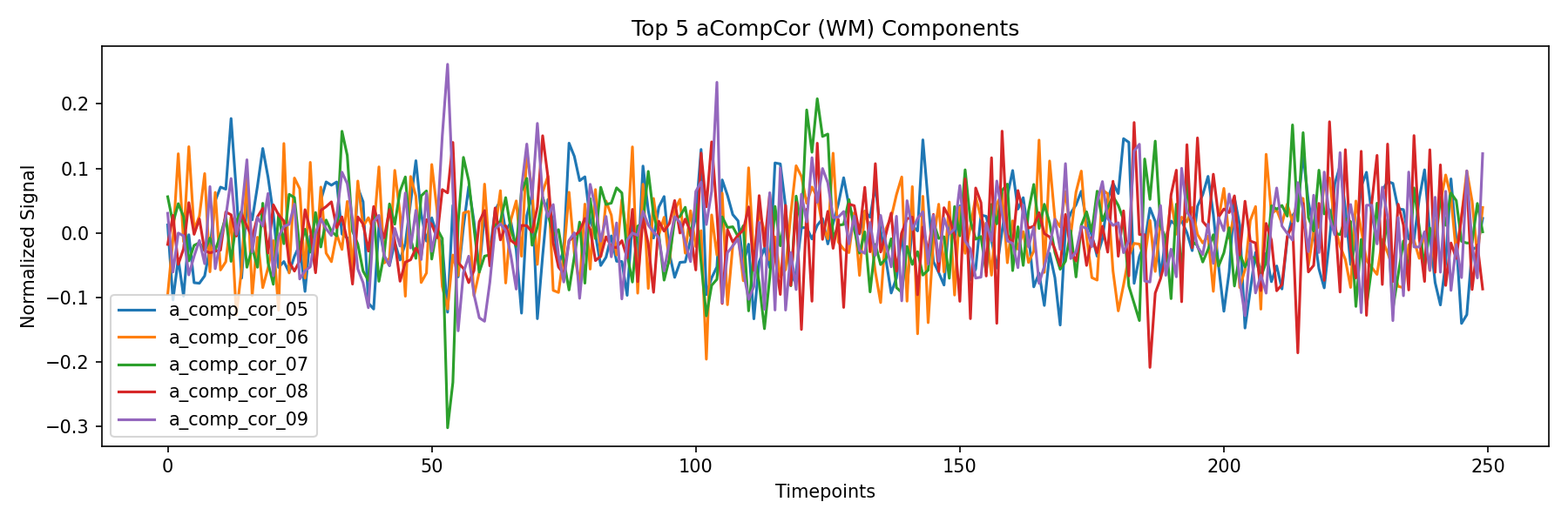 compcor_wm.png
