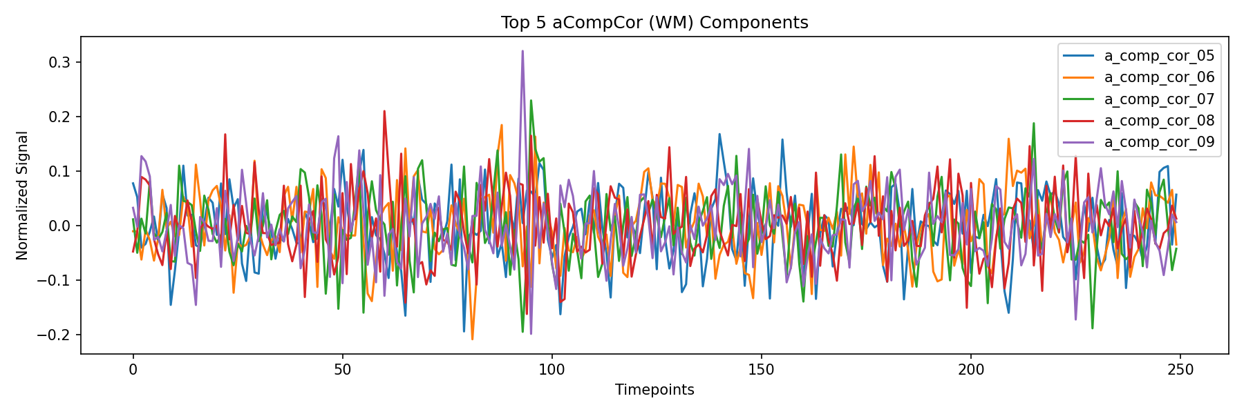 compcor_wm.png