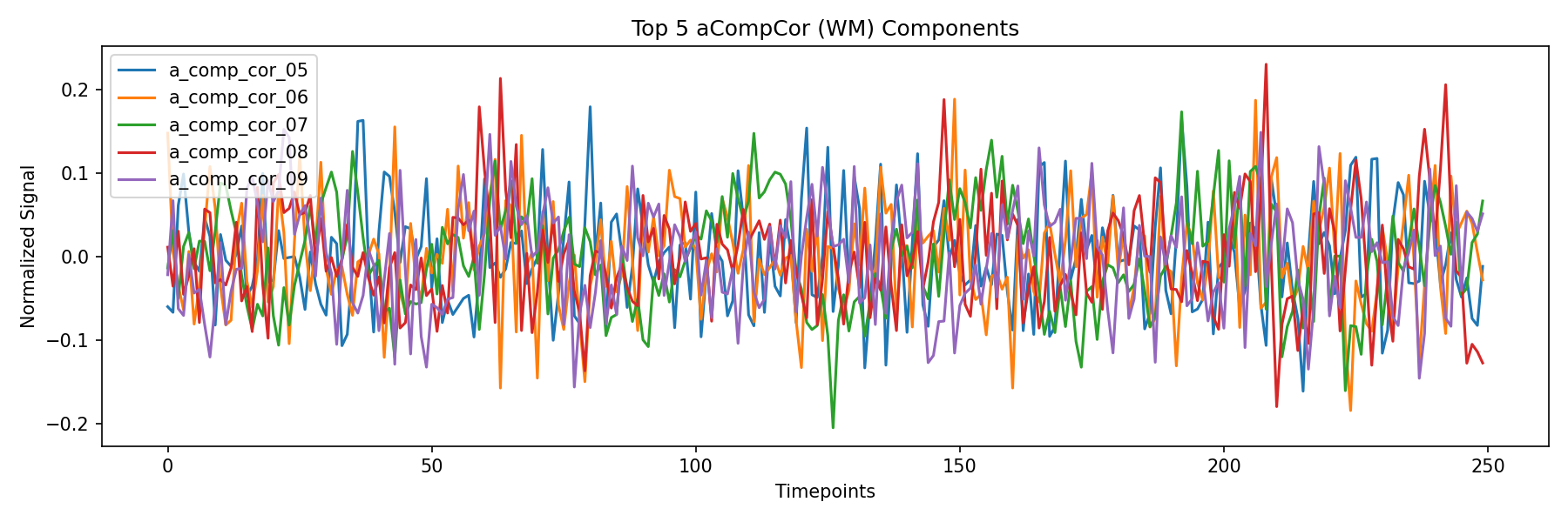 compcor_wm.png