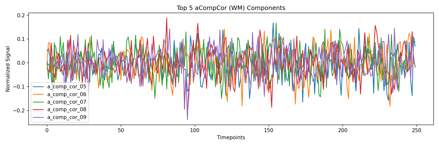compcor_wm.png