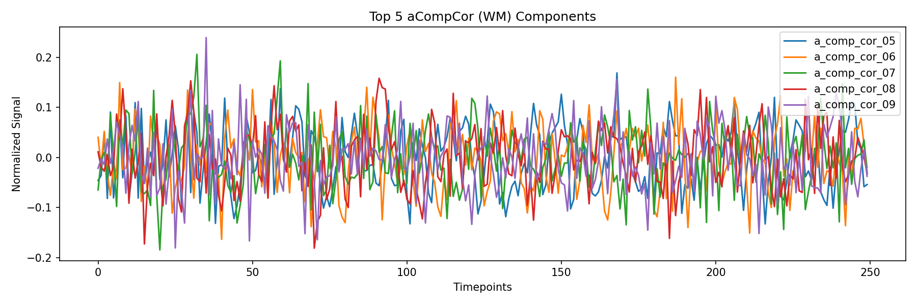 compcor_wm.png