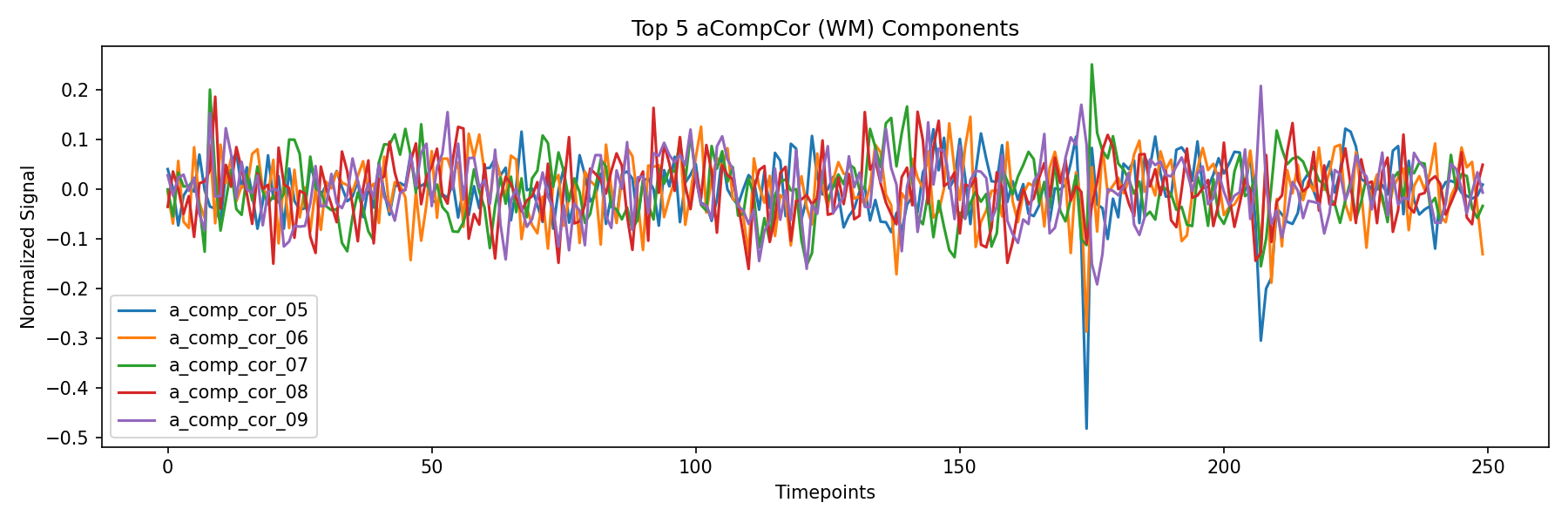 compcor_wm.png