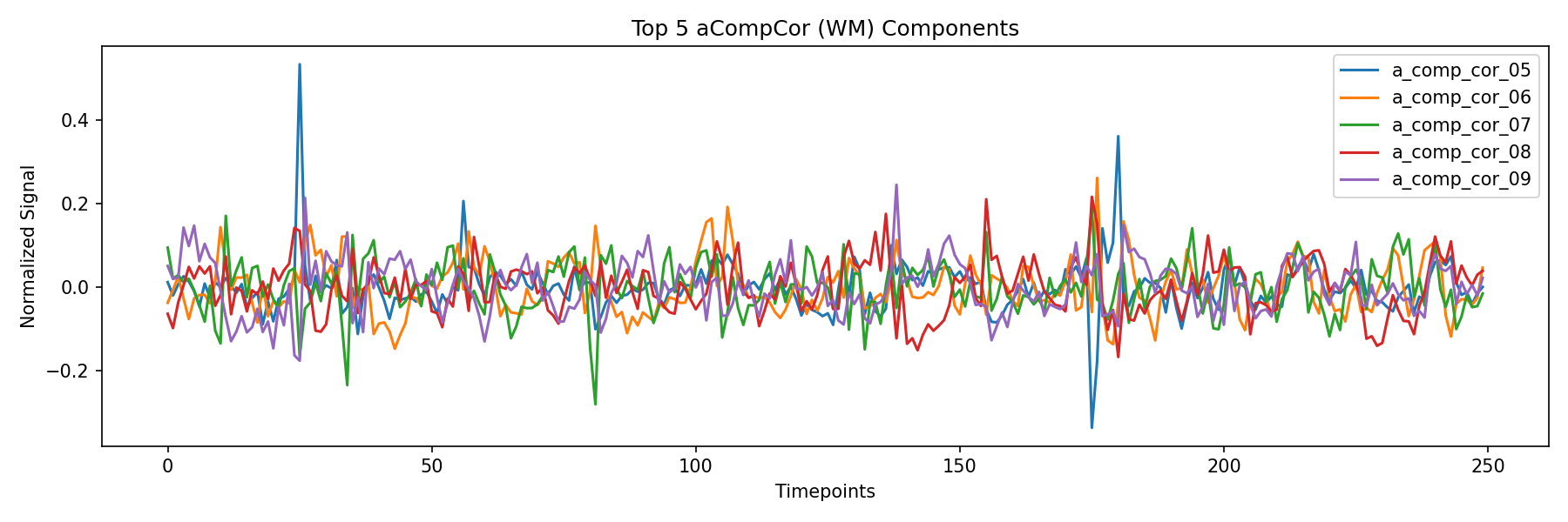 compcor_wm.png