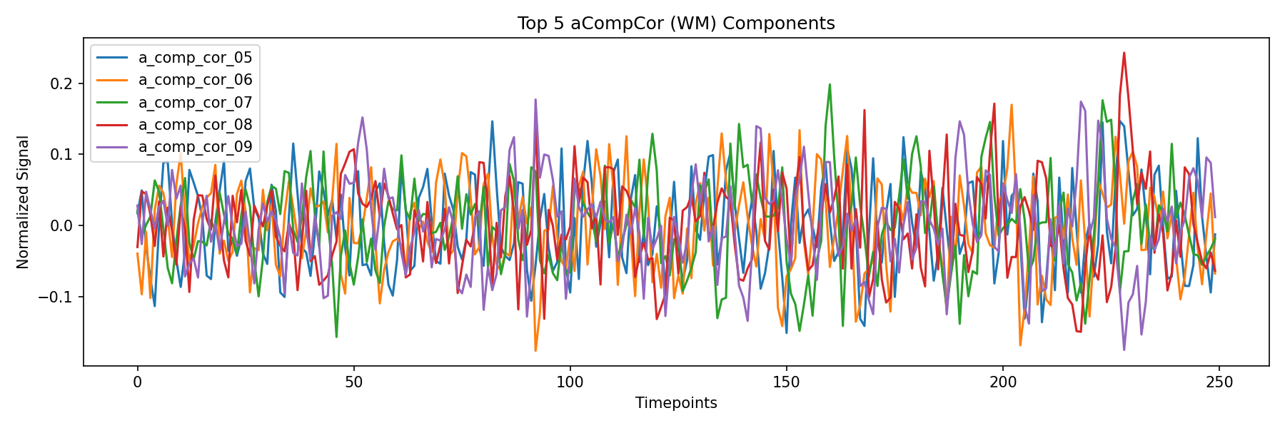 compcor_wm.png