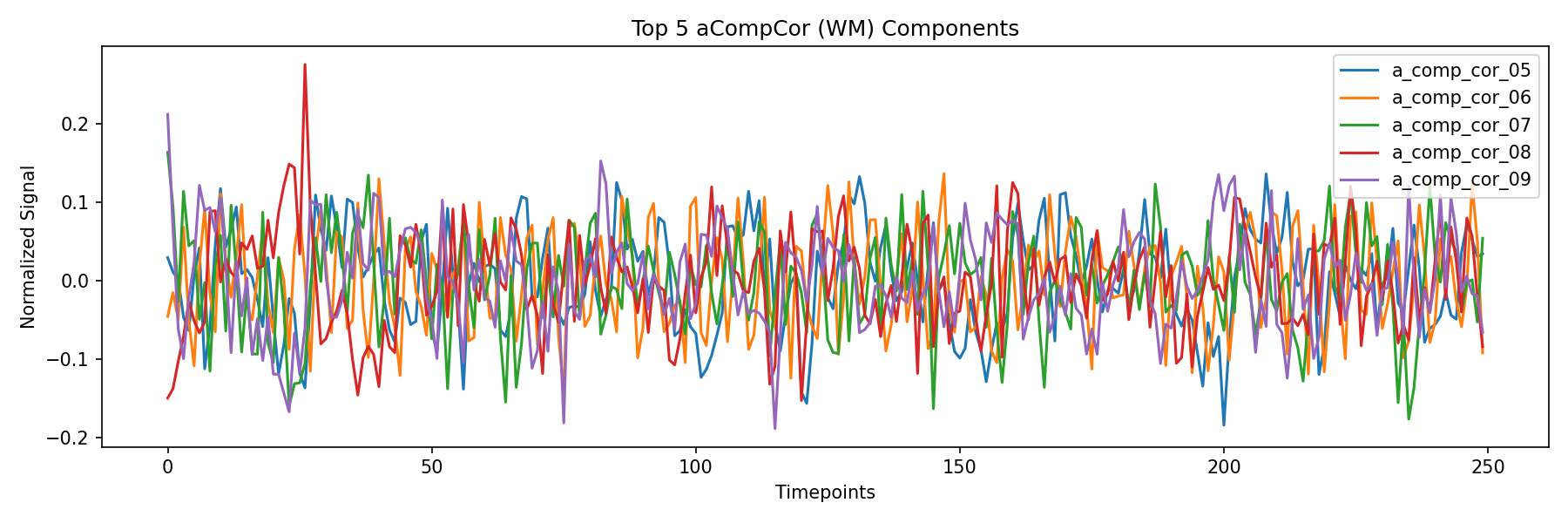 compcor_wm.png