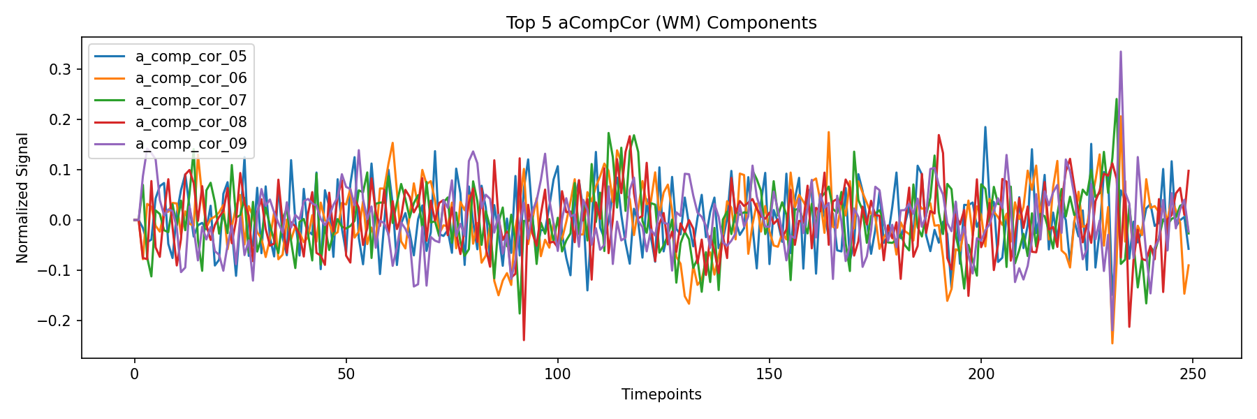 compcor_wm.png