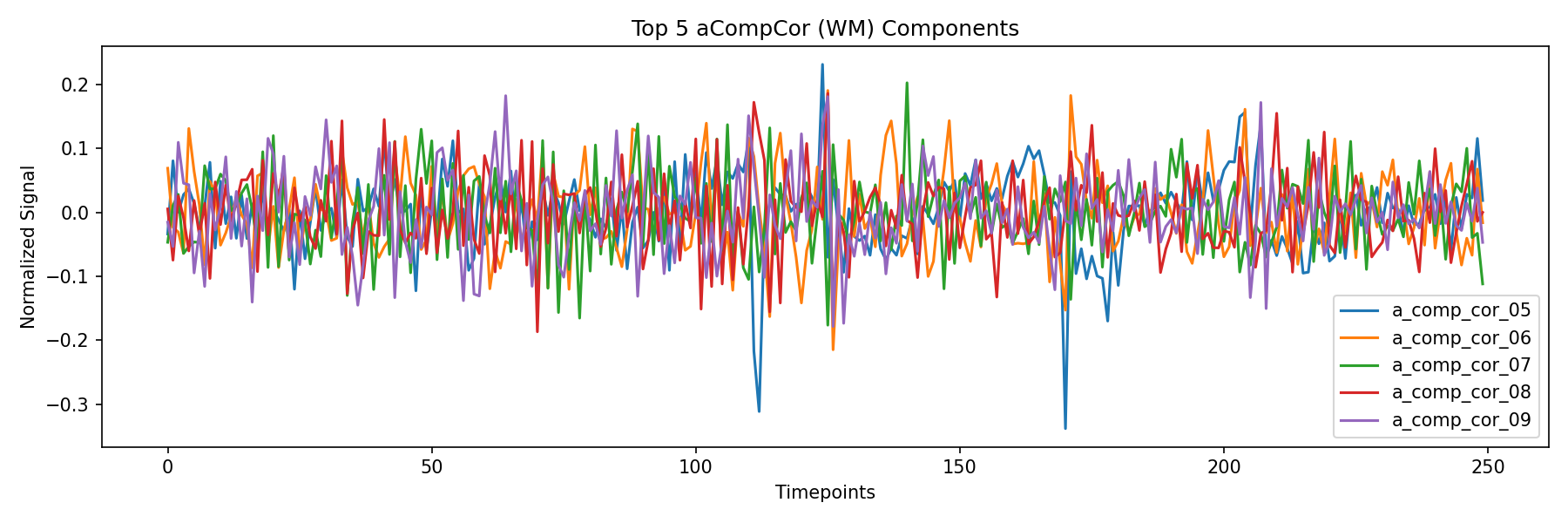compcor_wm.png