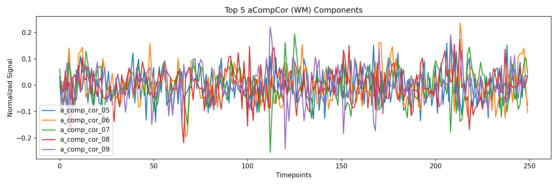 compcor_wm.png
