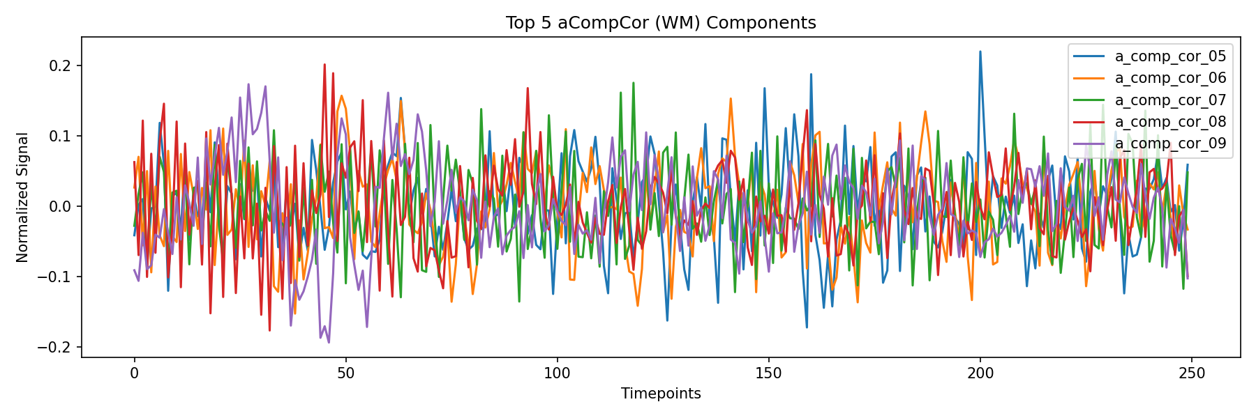 compcor_wm.png