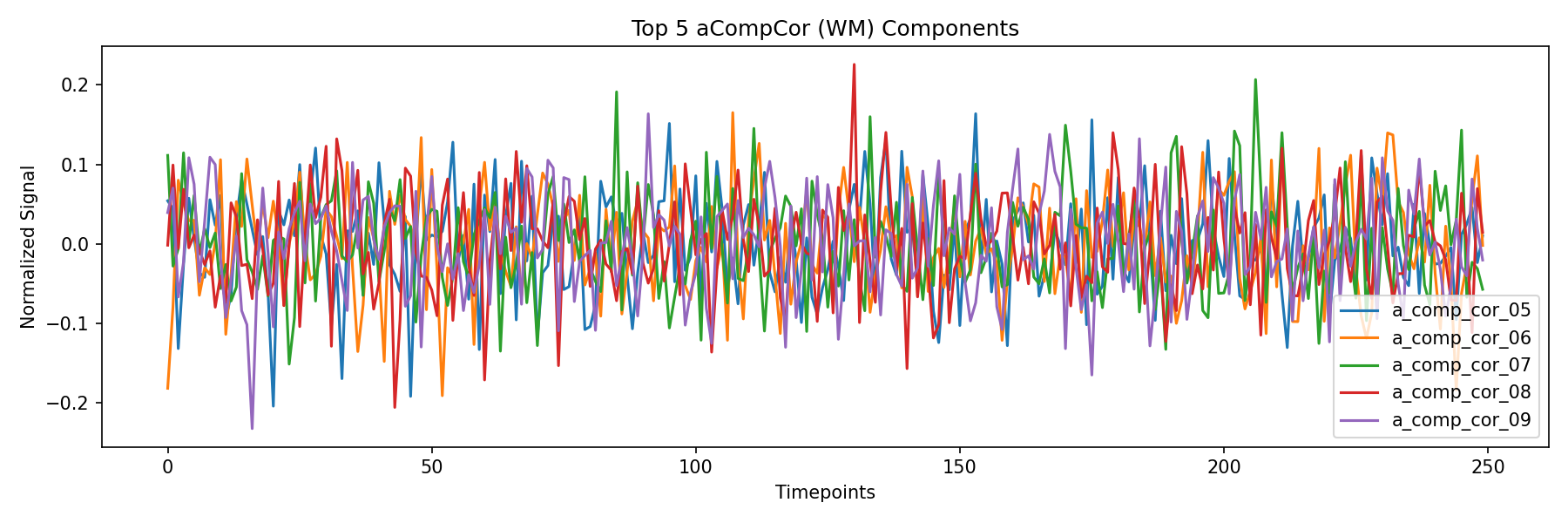 compcor_wm.png