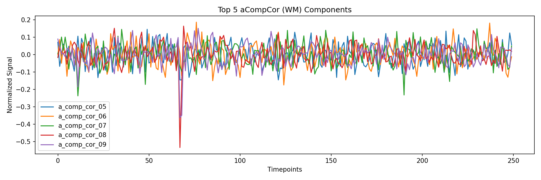 compcor_wm.png