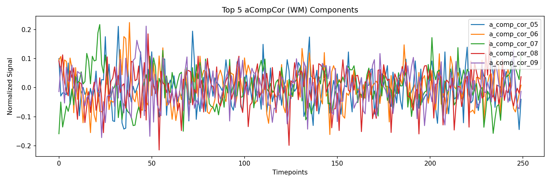 compcor_wm.png
