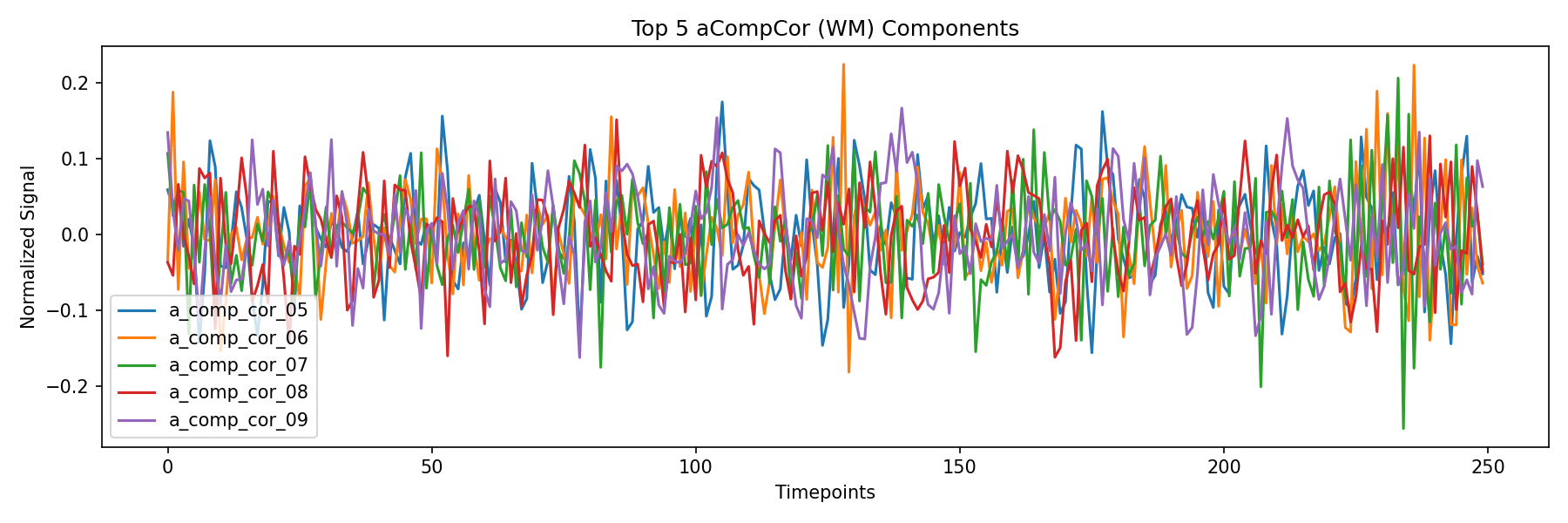compcor_wm.png