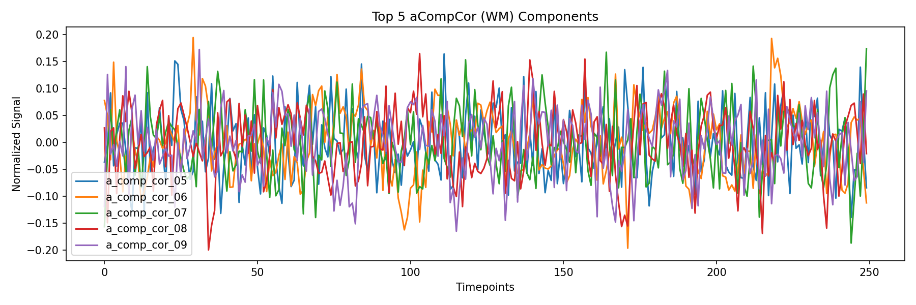 compcor_wm.png