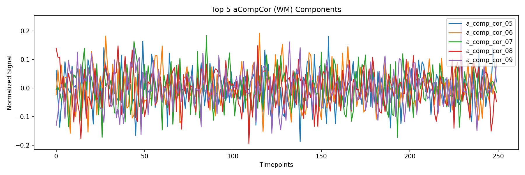 compcor_wm.png