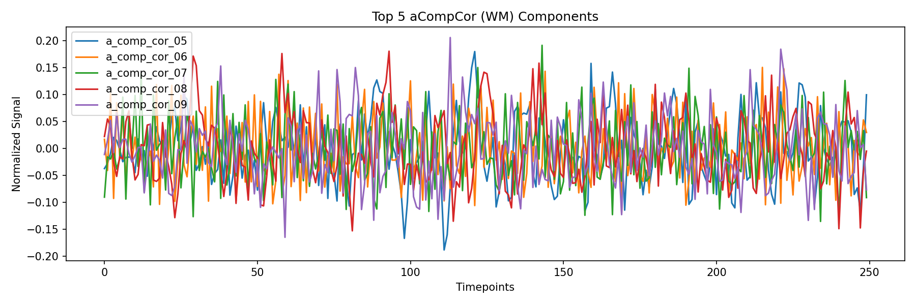 compcor_wm.png