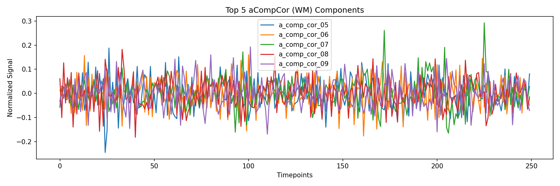 compcor_wm.png