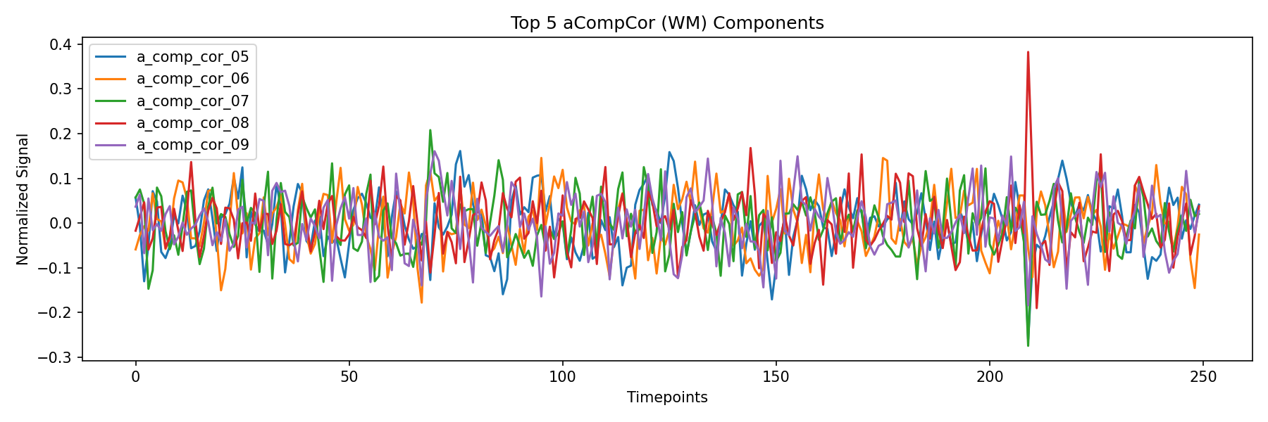 compcor_wm.png