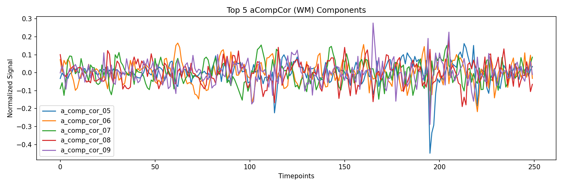 compcor_wm.png