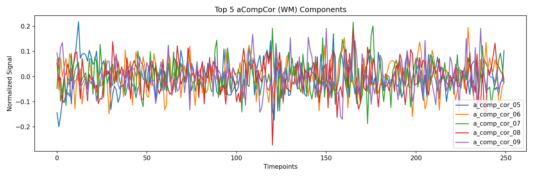 compcor_wm.png