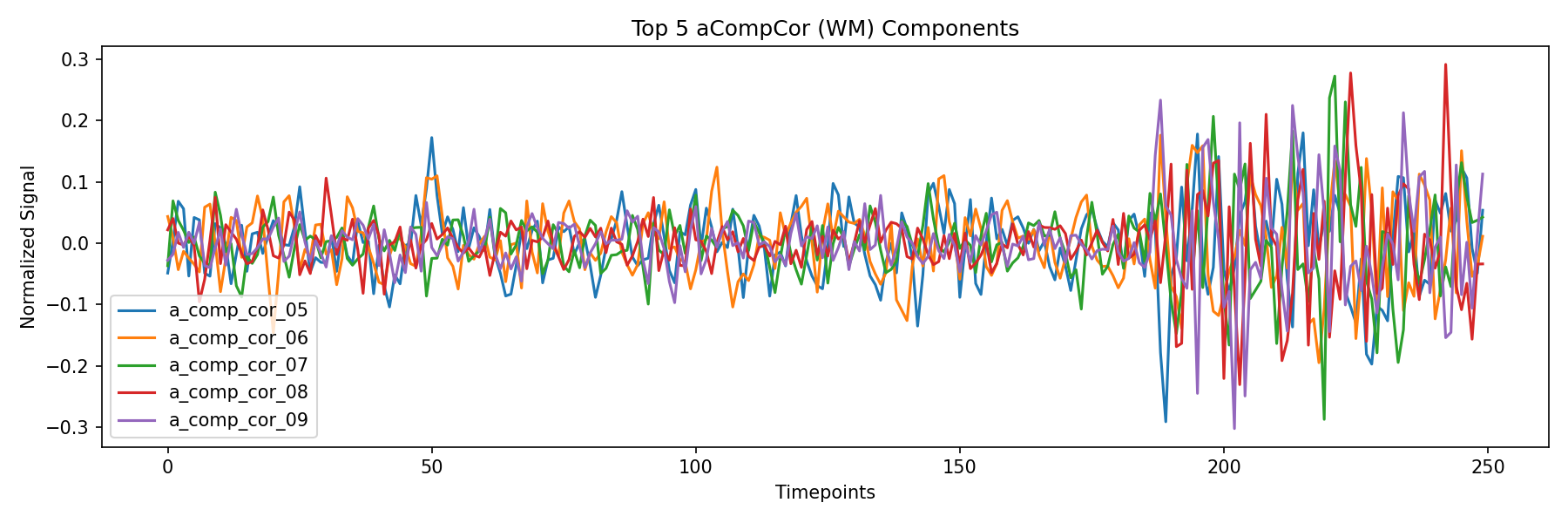 compcor_wm.png