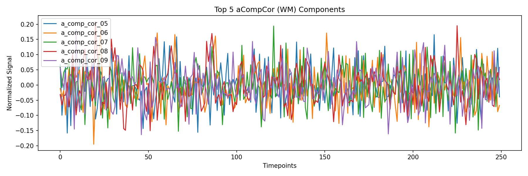 compcor_wm.png