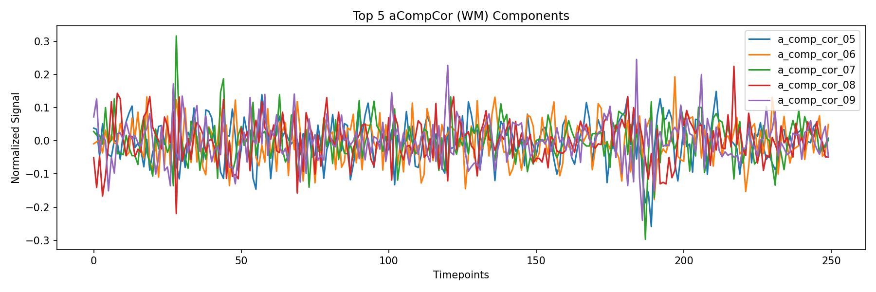 compcor_wm.png