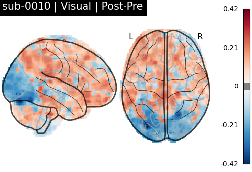 sub-0010_Visual_diff-comparison.png