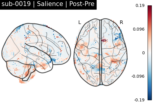 sub-0019_Salience_diff-comparison.png