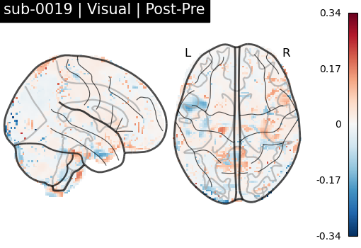 sub-0019_Visual_diff-comparison.png