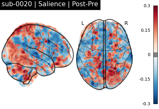 sub-0020_Salience_diff-comparison.png