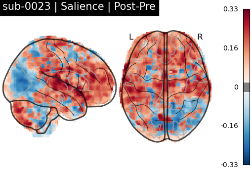 sub-0023_Salience_diff-comparison.png