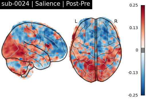 sub-0024_Salience_diff-comparison.png