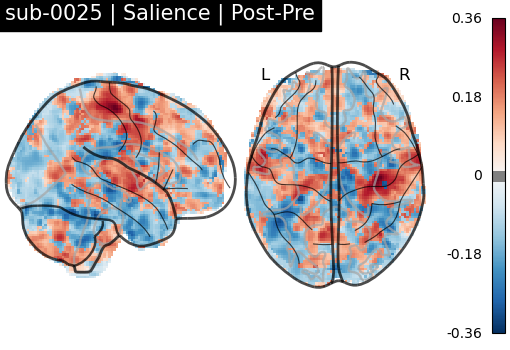 sub-0025_Salience_diff-comparison.png