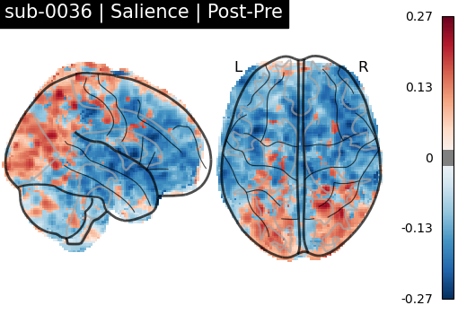 sub-0036_Salience_diff-comparison.png